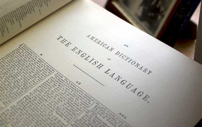 Americas Popular Dictionaries A Look At Language Culture and Knowledge
