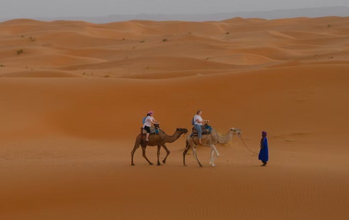 Article Image for Climate Migration and International Policy