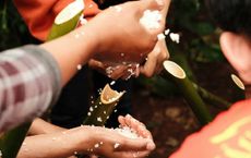 Article Image for Corporate Social Responsibility Under Review