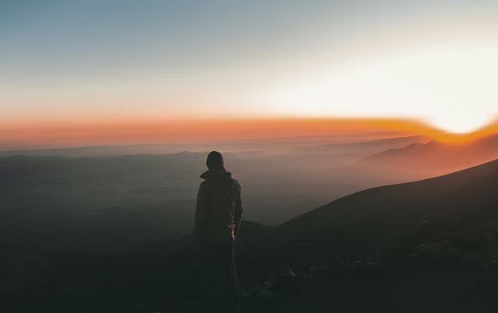 Article Image for The Rise of the Creator Economy