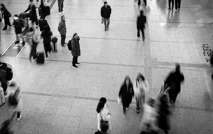 Article Image for Workplace Diversity and Inclusion Reports